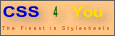 CSS 4 You-Logo Gr��e 1