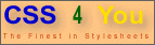 CSS 4 You-Logo Gr��e 2