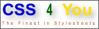 CSS 4 You-Logo Gr��e 2