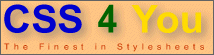 CSS 4 You-Logo Größe 3