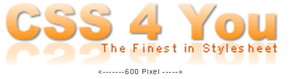 CSS 4 You